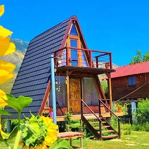  Camping Life On The Farm